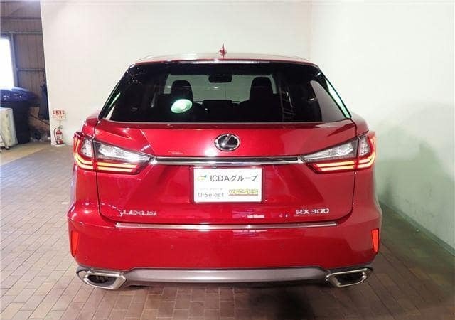 2019 Lexus RX 300