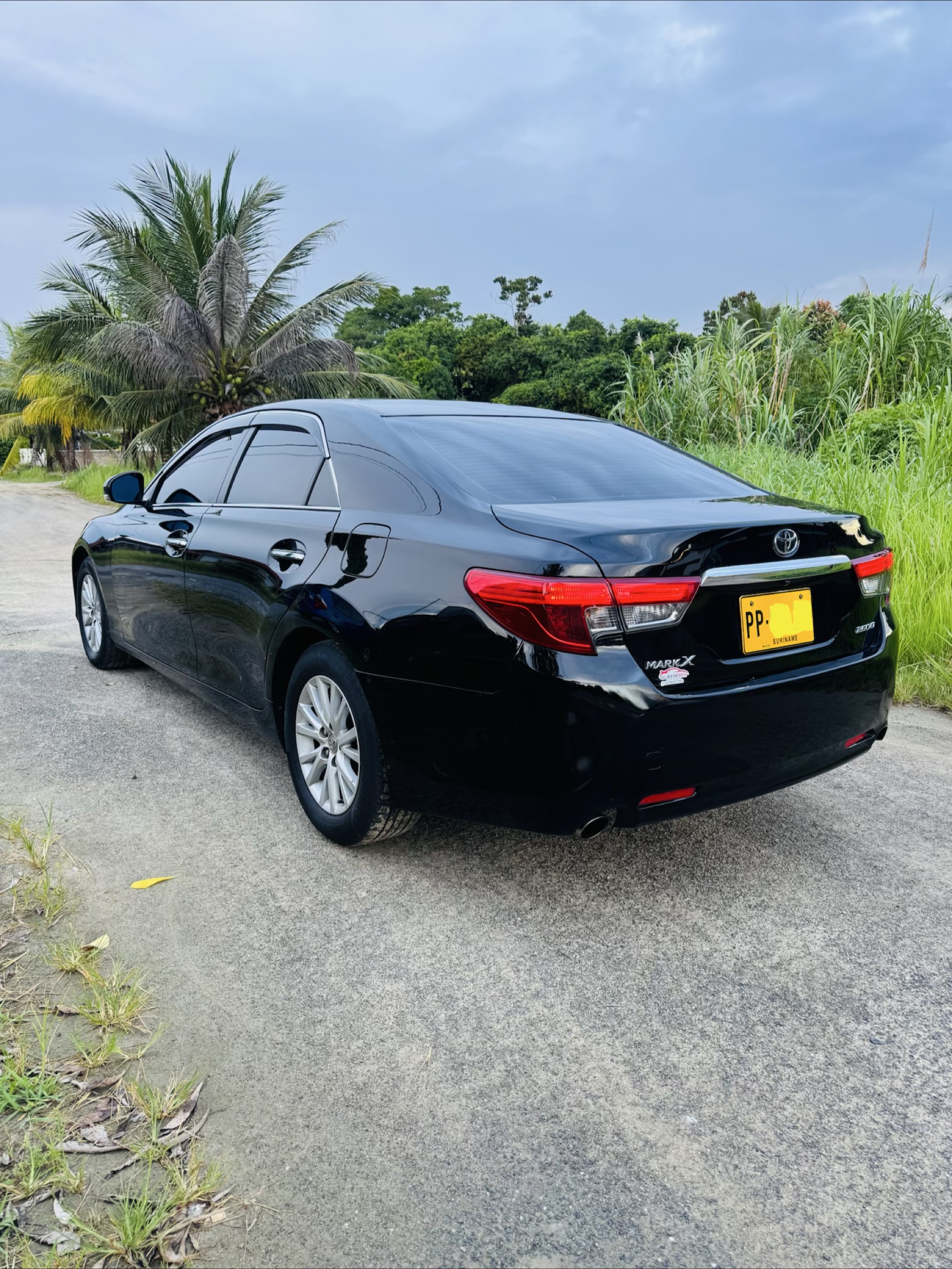 2016 Toyota Mark X