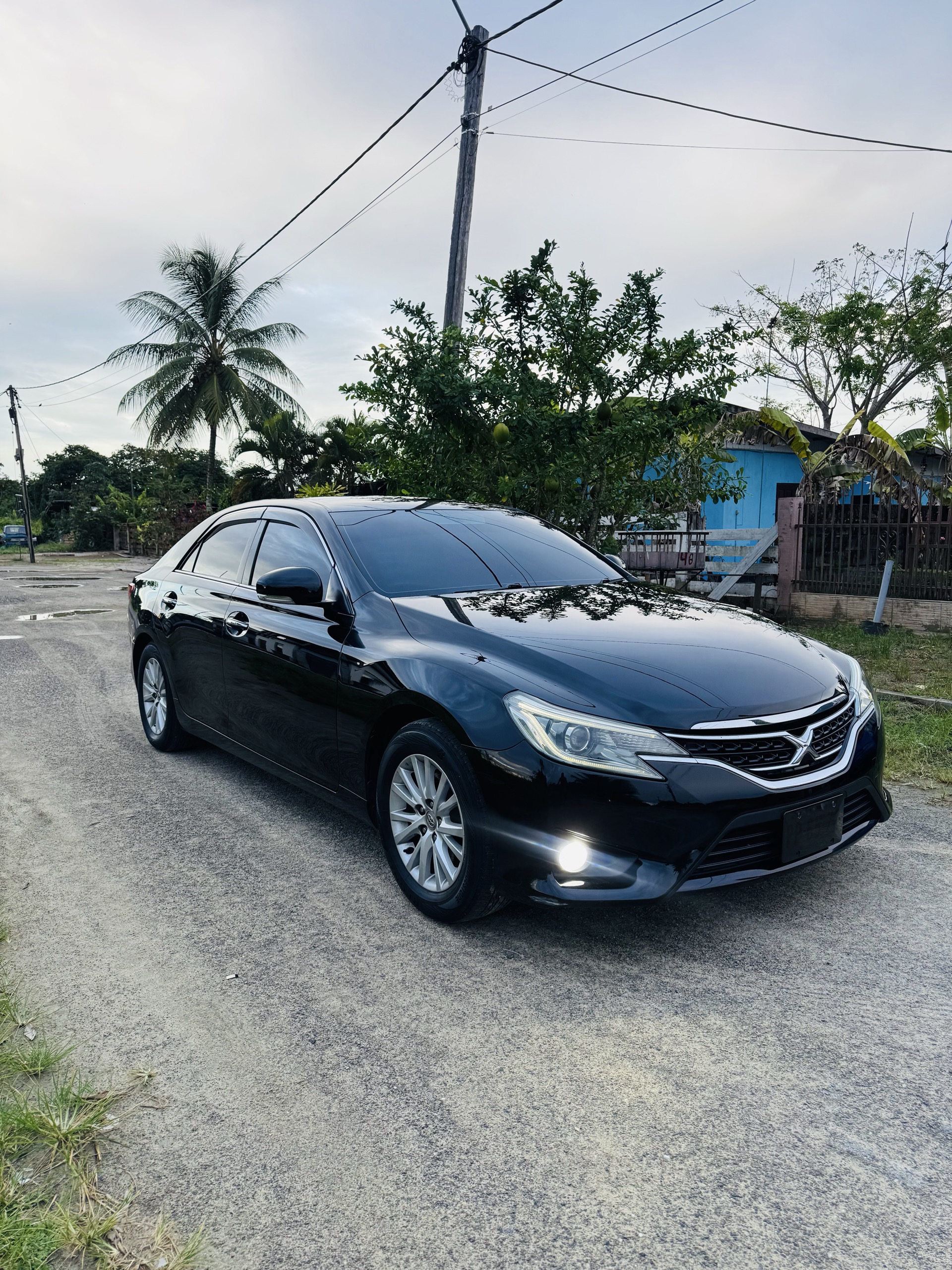2016 Toyota Mark X